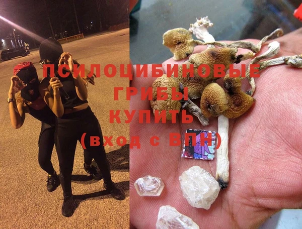 spice Магас